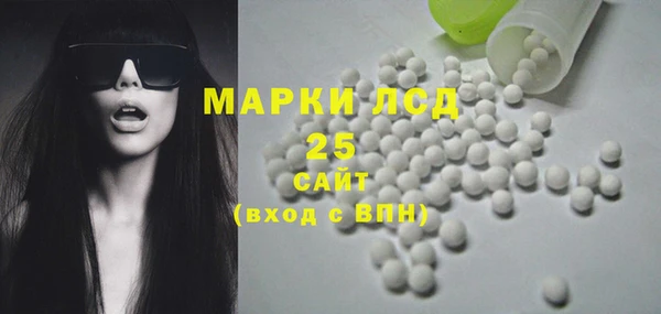 гидра Медвежьегорск
