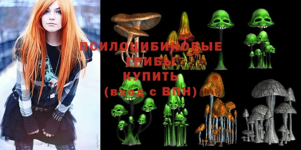 марки lsd Медногорск