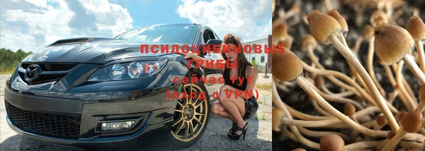 марки lsd Медногорск